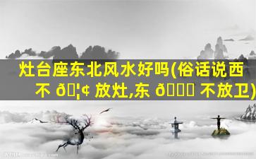 灶台座东北风水好吗(俗话说西不 🦢 放灶,东 🐋 不放卫)